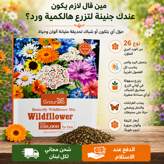 حديقة أحلامك بتبدأ من باك وحدة
